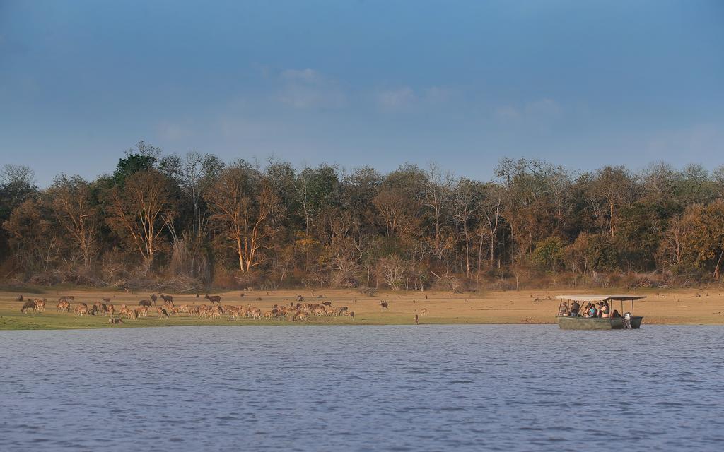 Resort Evolve Back Kabini Begur