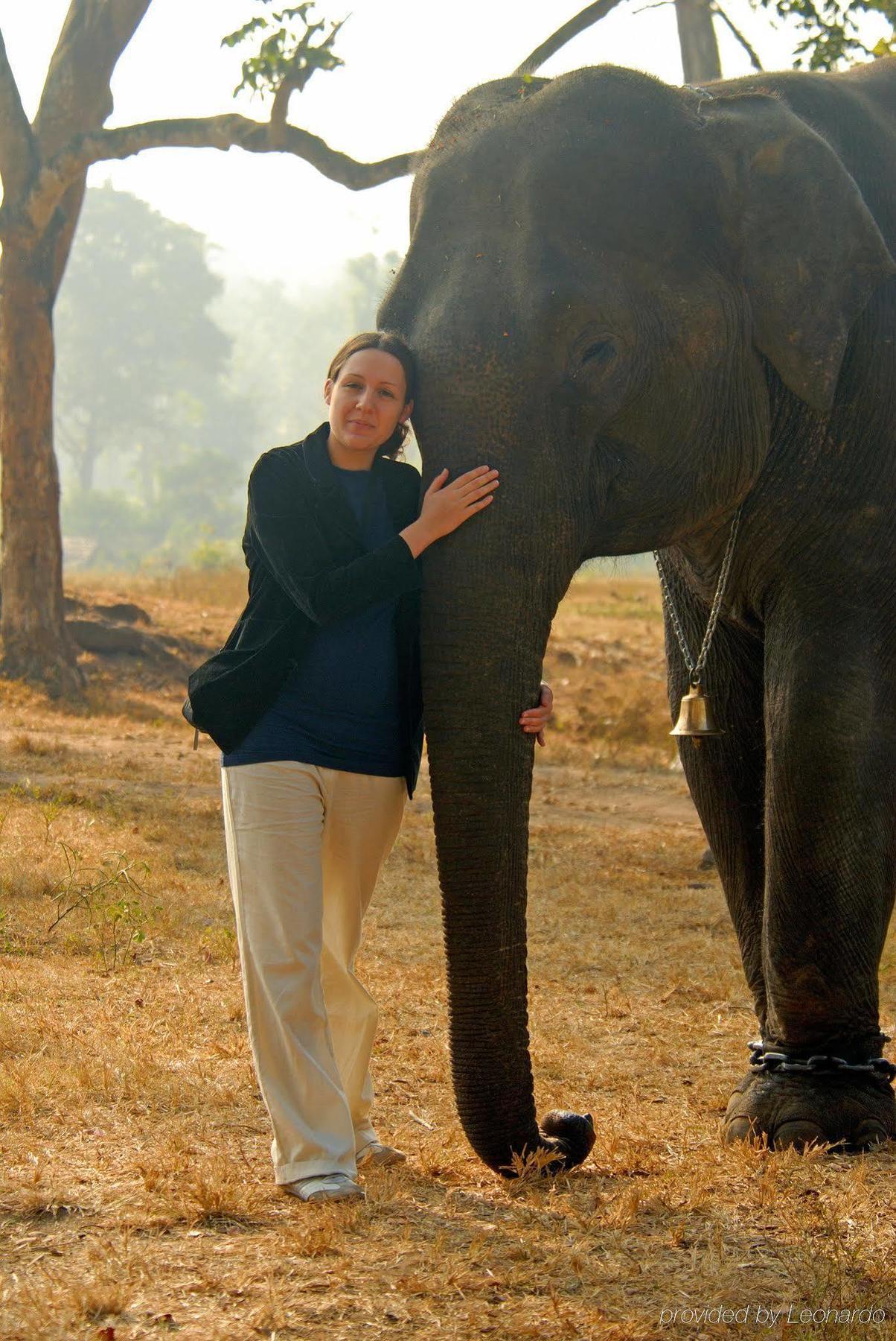 Evolve Back Kabini